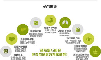 富硒健康新動力，產(chǎn)業(yè)盛會譜新章——聚焦2017第十四屆上海富硒食品產(chǎn)業(yè)博覽會及其酒店管理服務(wù)